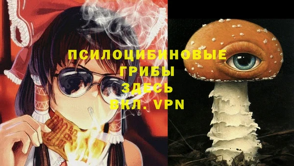 кристаллы Белокуриха