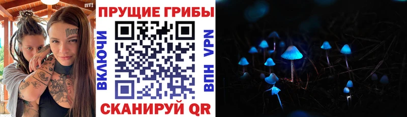 Галлюциногенные грибы Psilocybine cubensis  Мариинский Посад 